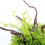 Planta Artificial De Para Acuario 5
