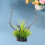 Planta Artificial De Para Acuario 11