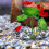 Artificiales Para Acuario Decoración De 6
