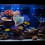 Filet De Multifonction En Pour Aquarium Fins 11