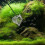 Filet De Multifonction En Pour Aquarium Fins 7