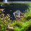 Filet De Multifonction En Pour Aquarium Fins 9