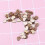 50 Pièces En Forme Cœur Artisanat Mr Mrs 7