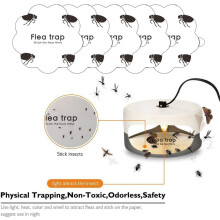 5PCS Pumpkin-Shaped Flea Trap Stickers, White Sticky Fly Traps for Home Bedroom