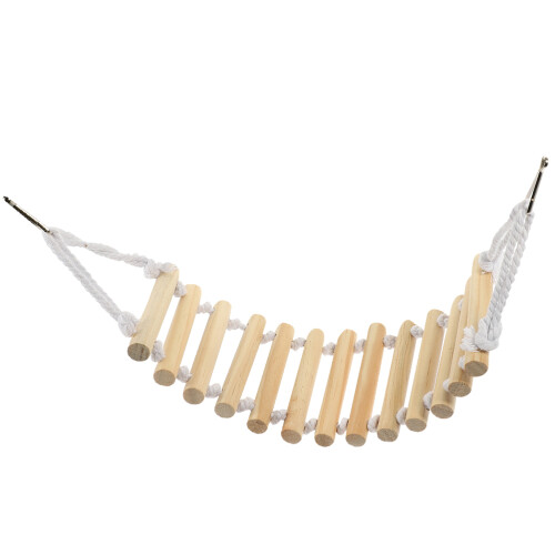 2Pcs De Geckos Com Para Répteis
