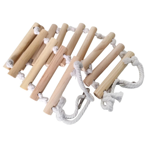 2Pcs De Geckos Com Para Répteis 1