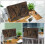 Reptil Fundo 3D Parede Habitat 6
