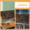 Reptil Fundo 3D Parede Habitat 8