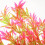 Planta Aquática Decorativa Falsa Para E De 4