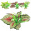 4 Unidades Acuario Artificiales Decorativa 3