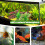 4 Unidades Acuario Artificiales Decorativa 8