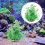 8Ud Adornos Plásticos Para Acuario, Artificiales Multicolor 11