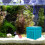 Para Acuario Reutilizable Cubo Profesional 4