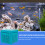 Para Acuario Reutilizable Cubo Profesional 9
