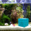 Filtre Pour Aquarium Réutilisable Filtre Pour À Cube 4
