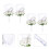 8Pz Broche Nozze Con Rosa, Corsage Per 9