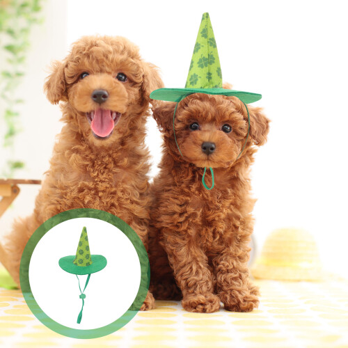 Acessórios De Para E Cães, Chapéu Dia De São 2