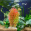 Decoração Para , Planta Artificial 4