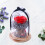 2Stk Rote Rosendome Mit Abdeckung Romantisches Geschenk Set 10