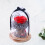 2Stk Rote Rosendome Mit Abdeckung Romantisches Geschenk Set 11