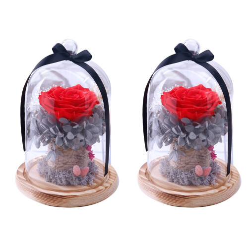 2Stk Rote Rosendome Mit Abdeckung Romantisches Geschenk Set 1