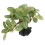 Planta Artificial Para Decoración De Y Oficinas 8