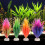 8Ud De Acuario Decoración Artificial Y Natural 9