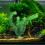 3Ud Artificiales Para De Peces Decoración 11