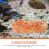 1Paquet Décorative Pour Aménagement Aquarium 5