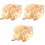 3 Cuscino Cartone Animato Conchiglia Decorativo 5