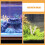Set Filtrante Naturale Per E Stagno Con E Pietra 8