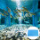 2 Unidades Esponja Disco Purificação 4