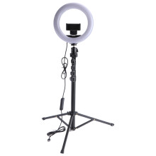 Conjunto Lâmpada De Led 8 Polegadas Para Vídeo