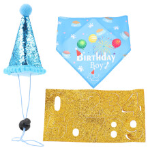 3Sets Blaue Geburtstagshut Partydekor Haustierparty Geschenk