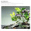 Planta Decorativa Morada De PU Para Acuarios 10