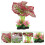 4Ud Decorativas Artificiales Acuario Simulación Oscuro 10