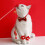1Set Collare Per Poliestere Decorativo 9