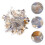 1Paquet Décor Naturel Multicolores Aquariums 4