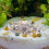 1Paquet Décor Naturel Multicolores Aquariums 10