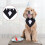 Czarna Bandana Dla Akcesorium Pet Collar 10