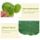 1Conjunto De De Artificial Verde PP 11