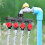 G3/4in Heavy Duty Wasserhahn Schlauch Splitter 2
