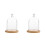 2Stk Transparente Glasblumenhaube, Holzfuß, Langlebig Und 6