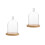 2Stk Transparente Glasblumenhaube, Holzfuß, Langlebig Und 3