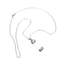 2St Multi-Use Urn Ketting Huisdier Herinnering Roestvrij Staal