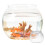 2Ud Peceras Redondas De Plástico Transparente Para Decoración 4
