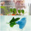 32Ud Para Peces Betta Decorativa Y 11