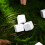 24Pièces Calcium Durable Pour Reptiles 9