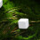 24Pièces Calcium Durable Pour Reptiles 10