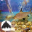 20St Filterbeschermers Aquarium Visfilter Zwart 11